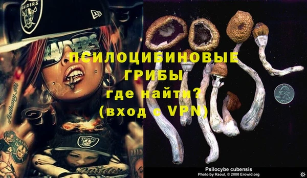 круглые Краснослободск