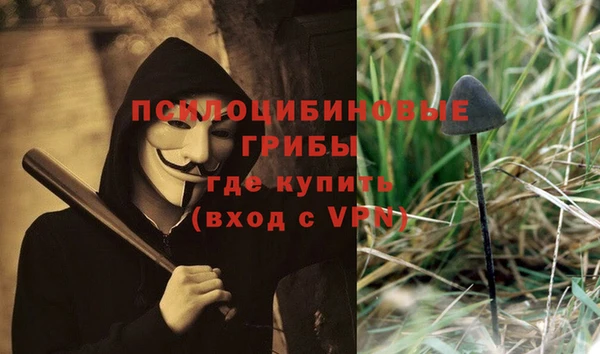 PSILOCYBIN Красноперекопск