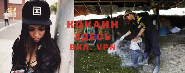PSILOCYBIN Красноперекопск