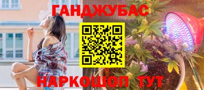 мдпв Славгород