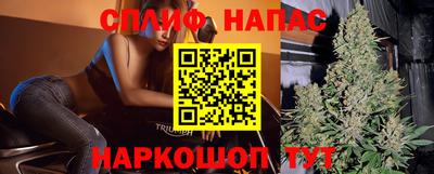 мдпв Славгород