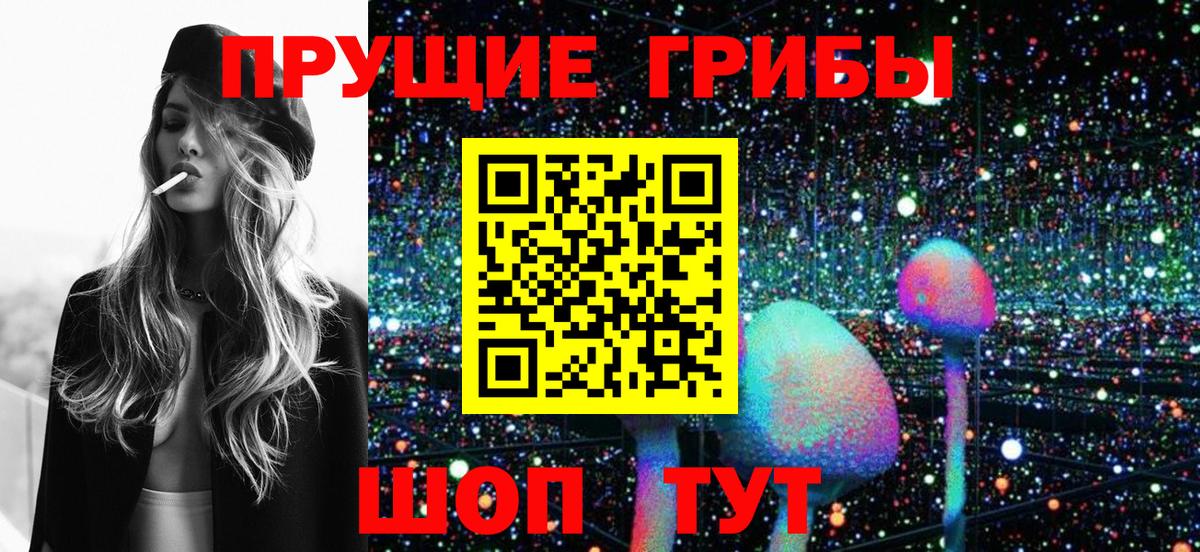 Псилоцибиновые грибы MAGIC MUSHROOMS  Вход с VPN  Азов  как найти   Псилоцибиновые грибы мицелий 