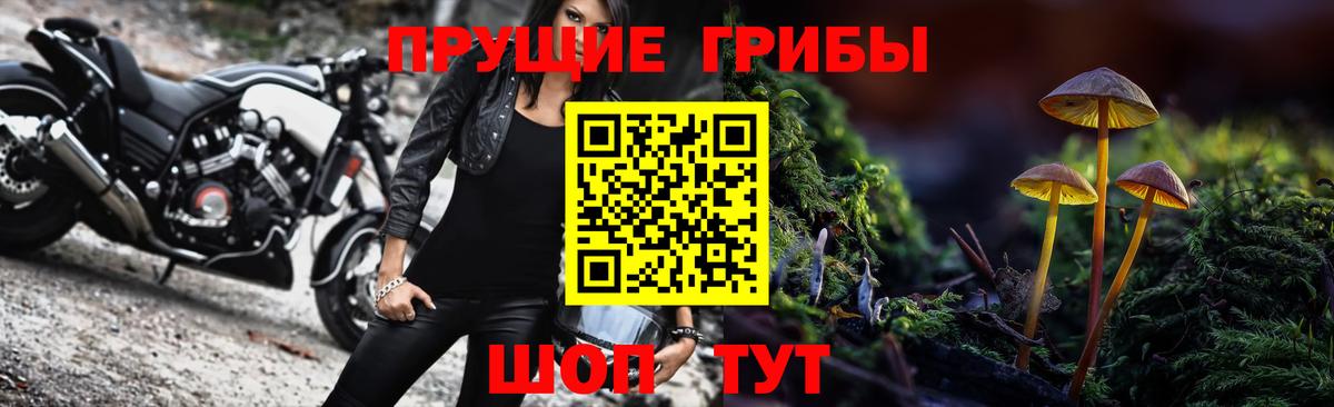 Псилоцибиновые грибы Psilocybe Азов