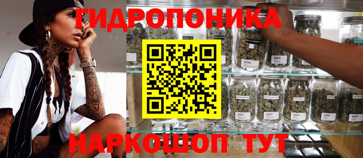 Конопля сатива Азов